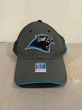 NFL Carolina Panthers Fitted Reebok Ball Cap Hat NWT OSFA Official NFL Gray
